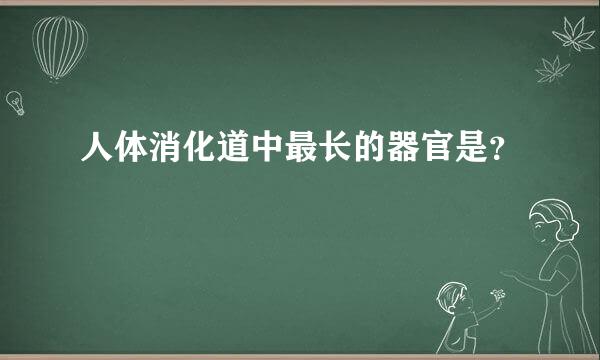 人体消化道中最长的器官是？