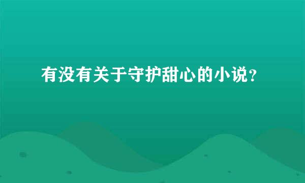 有没有关于守护甜心的小说？