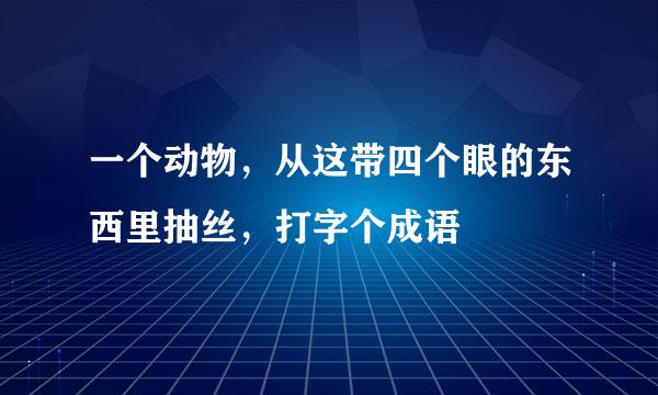 一个动物，从这带四个眼的东西里抽丝，打字个成语