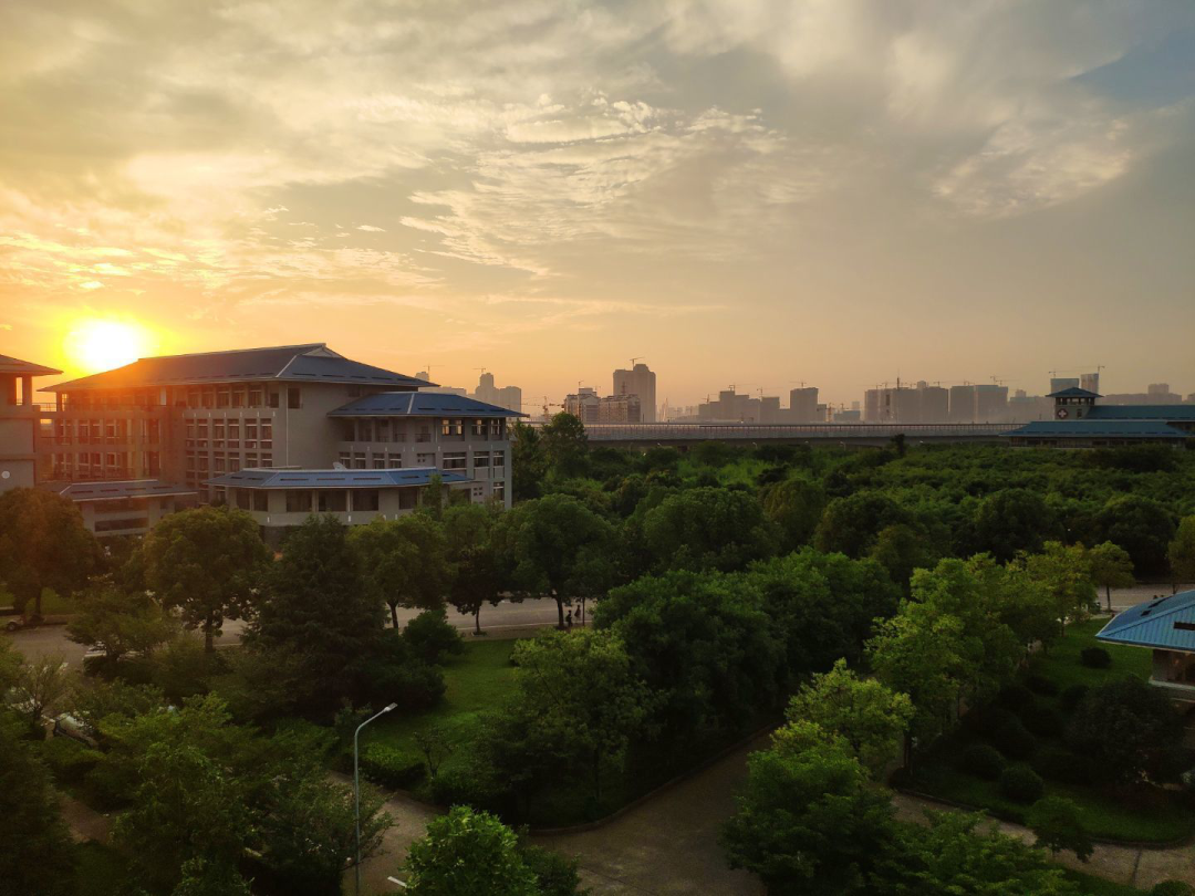 湖北中医药大学评价