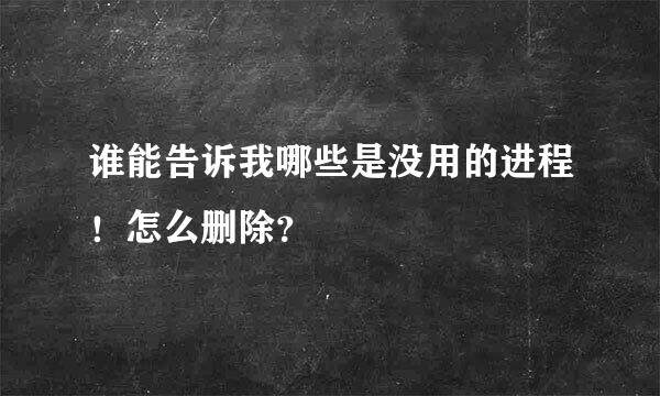 谁能告诉我哪些是没用的进程！怎么删除？