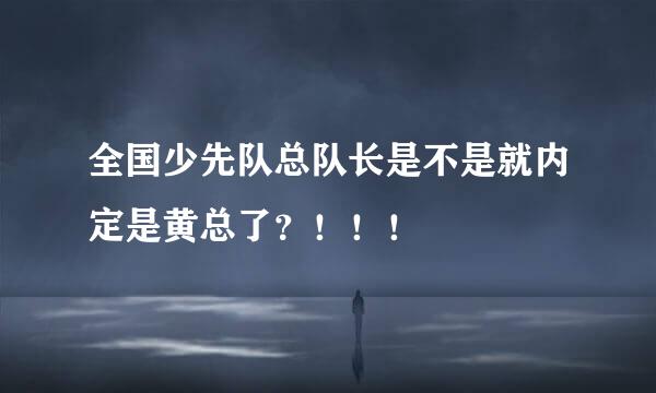 全国少先队总队长是不是就内定是黄总了？！！！