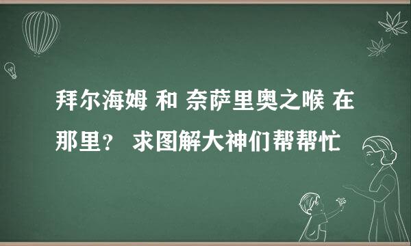 拜尔海姆 和 奈萨里奥之喉 在那里？ 求图解大神们帮帮忙