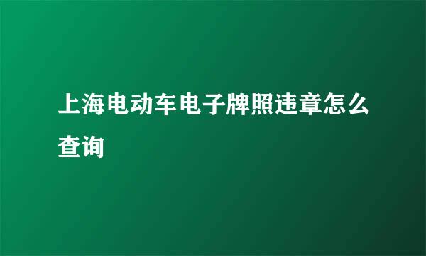 上海电动车电子牌照违章怎么查询