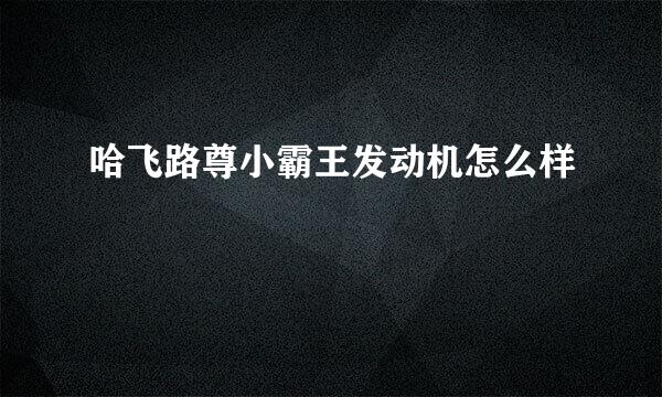 哈飞路尊小霸王发动机怎么样