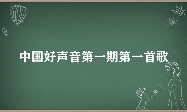 中国好声音第一期第一首歌