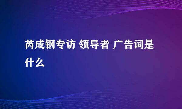 芮成钢专访 领导者 广告词是什么