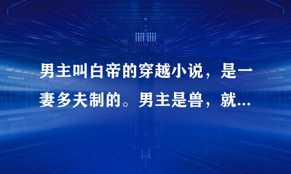 男主叫白帝的穿越小说，是一妻多夫制的。男主是兽，就是白老虎。