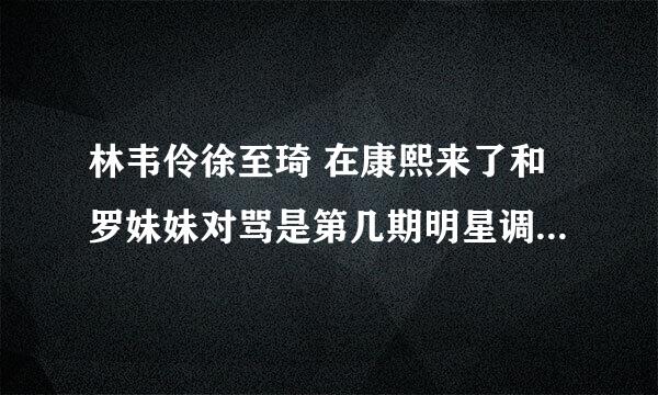 林韦伶徐至琦 在康熙来了和罗妹妹对骂是第几期明星调查局之谁是好媳妇