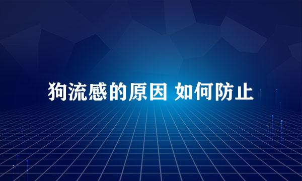 狗流感的原因 如何防止