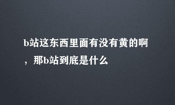 b站这东西里面有没有黄的啊，那b站到底是什么