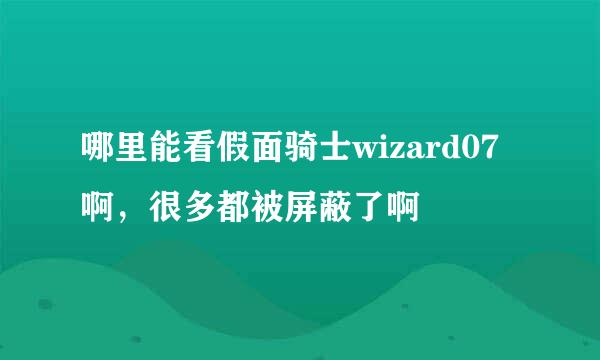 哪里能看假面骑士wizard07啊，很多都被屏蔽了啊