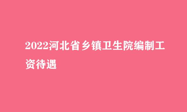 2022河北省乡镇卫生院编制工资待遇