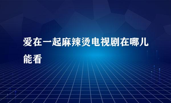 爱在一起麻辣烫电视剧在哪儿能看