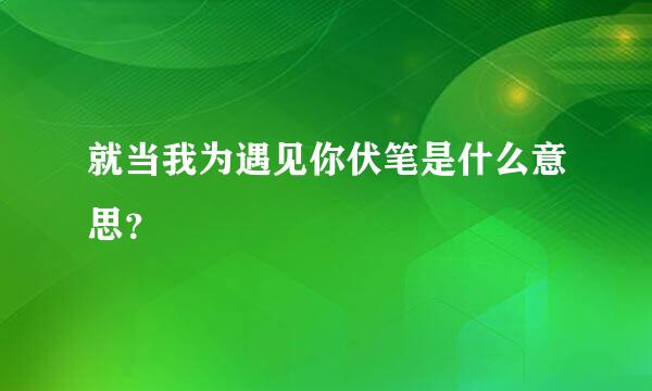 就当我为遇见你伏笔是什么意思？