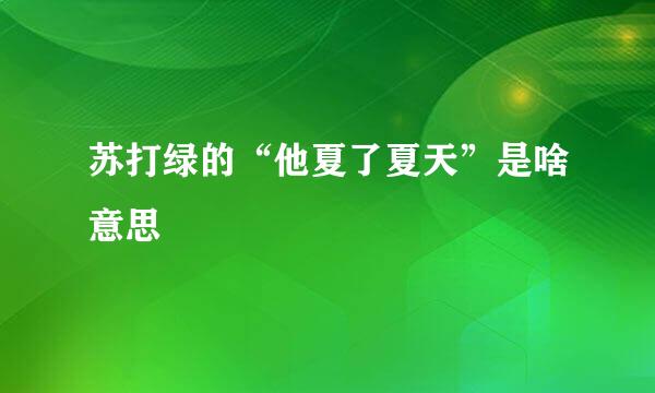 苏打绿的“他夏了夏天”是啥意思