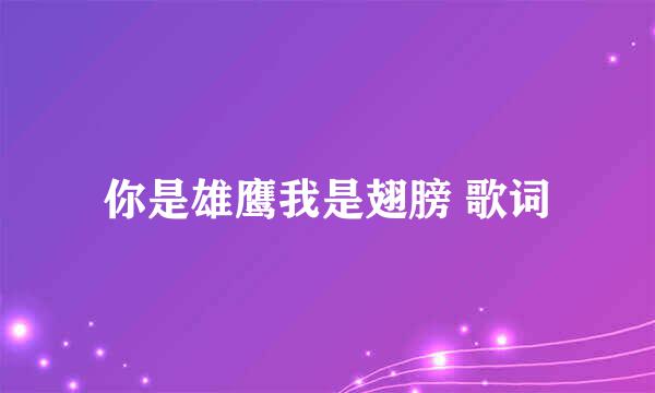 你是雄鹰我是翅膀 歌词