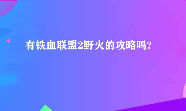 有铁血联盟2野火的攻略吗?