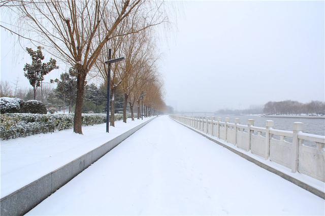 黑龙江漠河迎飞雪，五月飞雪是怎样的场景？