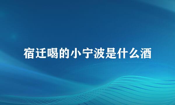 宿迁喝的小宁波是什么酒