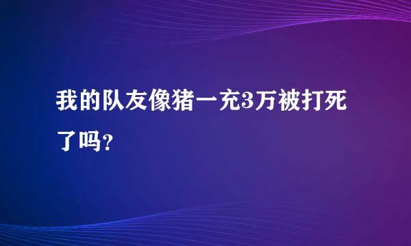 我的队友像猪一充3万被打死了吗？