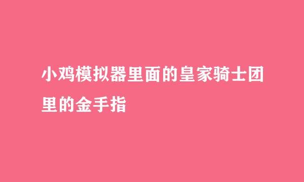 小鸡模拟器里面的皇家骑士团里的金手指