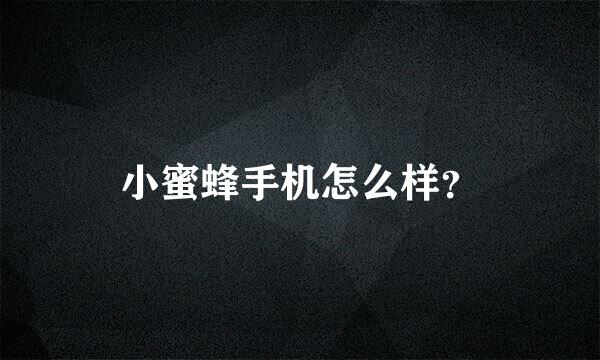 小蜜蜂手机怎么样？