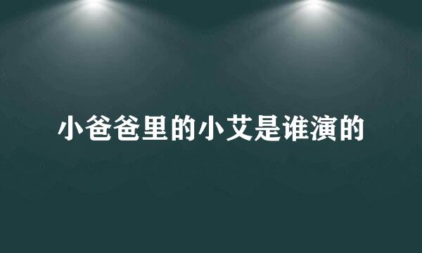 小爸爸里的小艾是谁演的