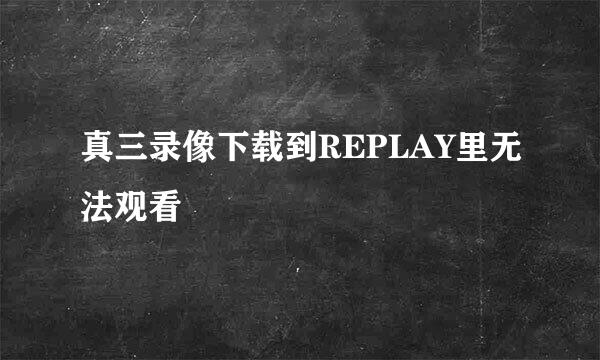 真三录像下载到REPLAY里无法观看