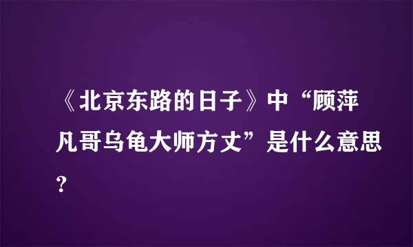 《北京东路的日子》中“顾萍凡哥乌龟大师方丈”是什么意思？