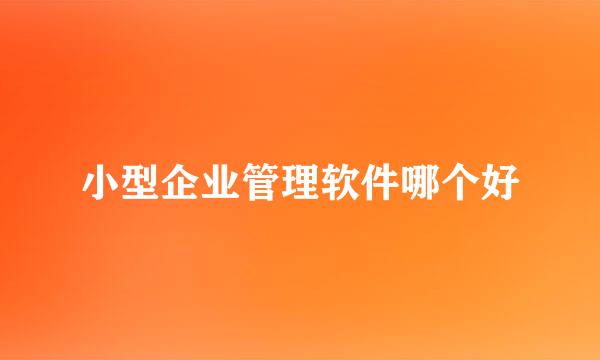 小型企业管理软件哪个好