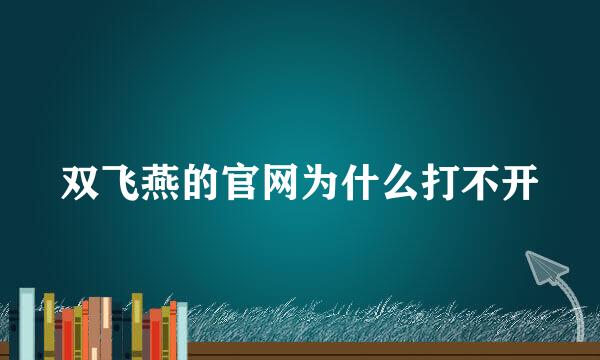 双飞燕的官网为什么打不开