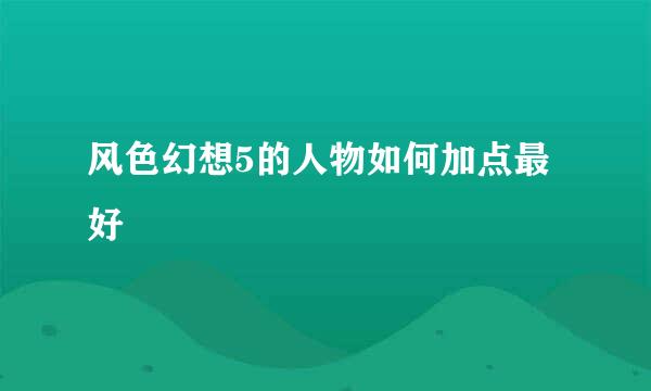 风色幻想5的人物如何加点最好