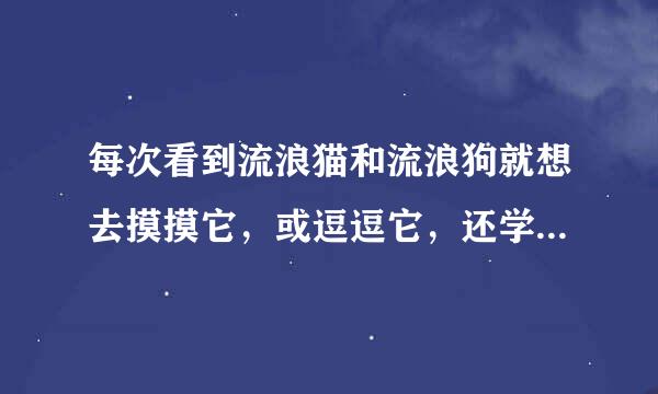 每次看到流浪猫和流浪狗就想去摸摸它，或逗逗它，还学它们的声音，是不是不太正常啊?