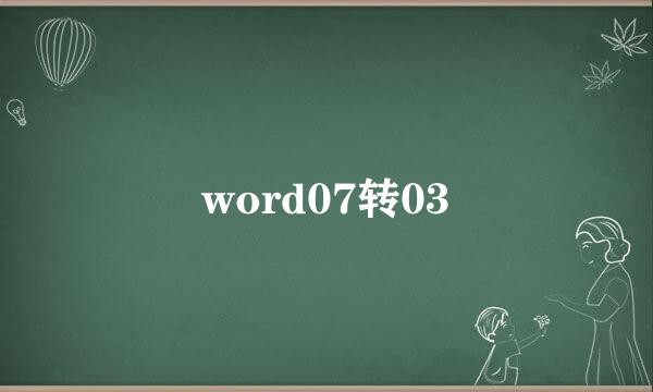 word07转03