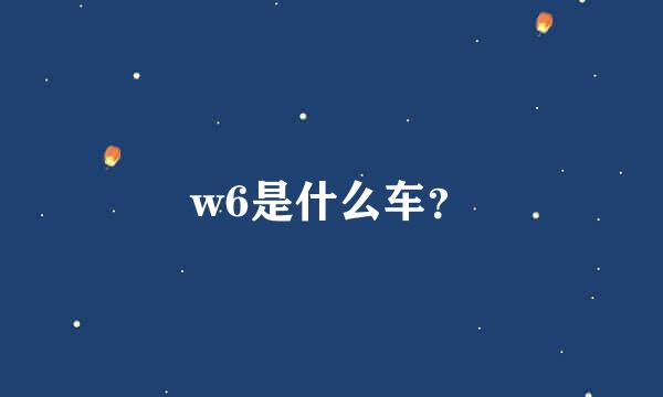 w6是什么车？