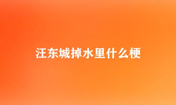 汪东城掉水里什么梗