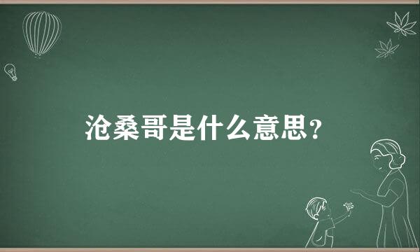 沧桑哥是什么意思？