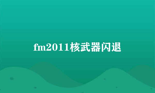 fm2011核武器闪退