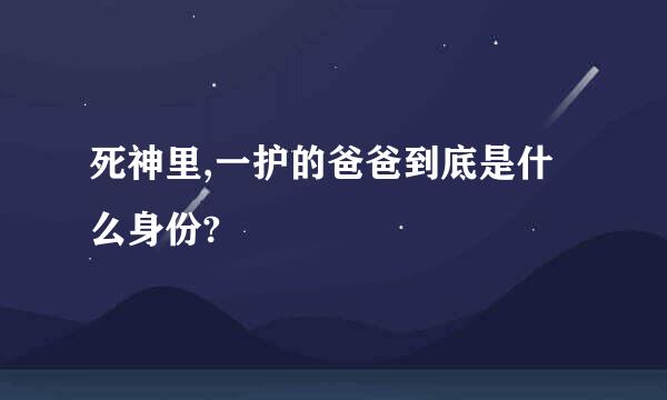 死神里,一护的爸爸到底是什么身份?