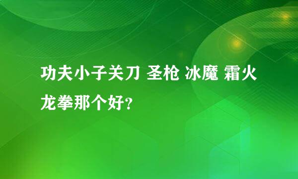 功夫小子关刀 圣枪 冰魔 霜火 龙拳那个好？