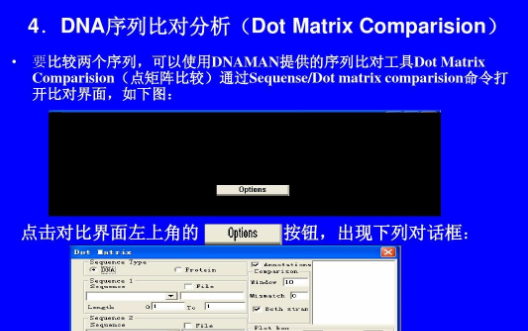 dnaman序列比对是什么？