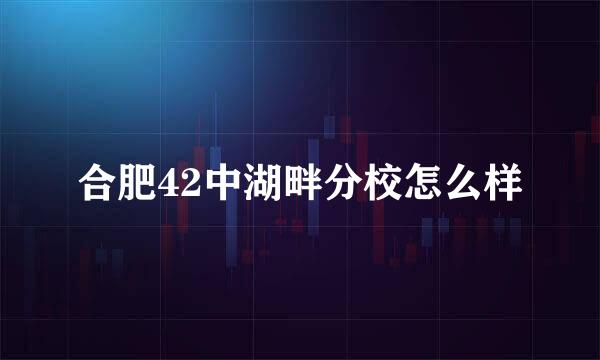 合肥42中湖畔分校怎么样