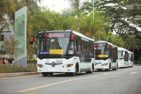 广东深圳一公交车路口漂移行驶，警方对其进行了什么处罚？