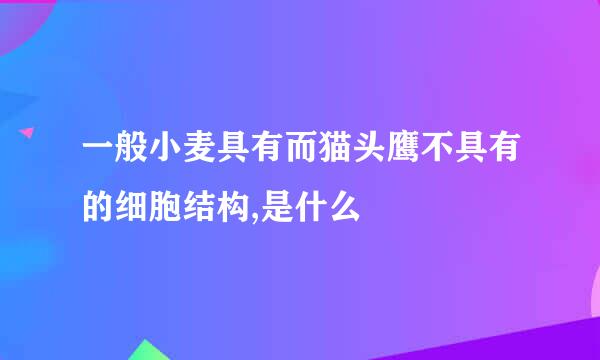 一般小麦具有而猫头鹰不具有的细胞结构,是什么