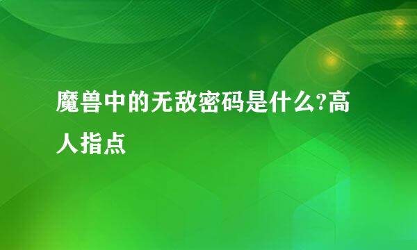 魔兽中的无敌密码是什么?高人指点