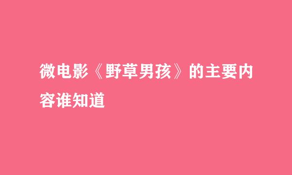 微电影《野草男孩》的主要内容谁知道