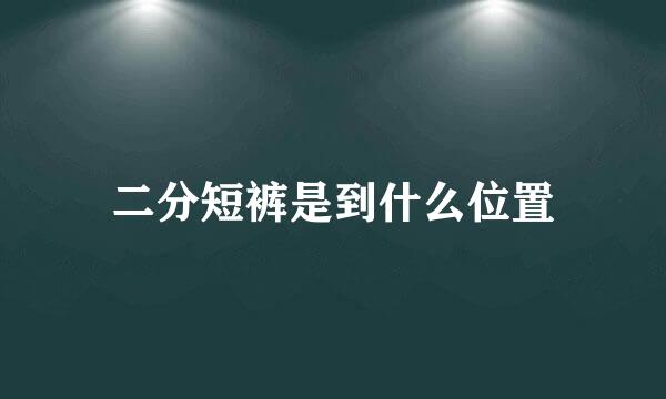 二分短裤是到什么位置