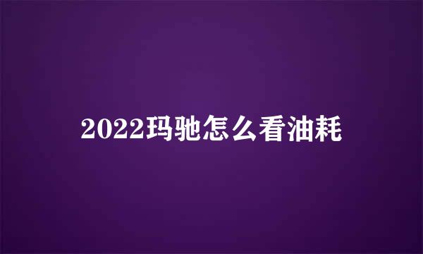 2022玛驰怎么看油耗