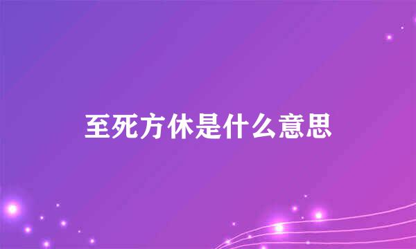 至死方休是什么意思